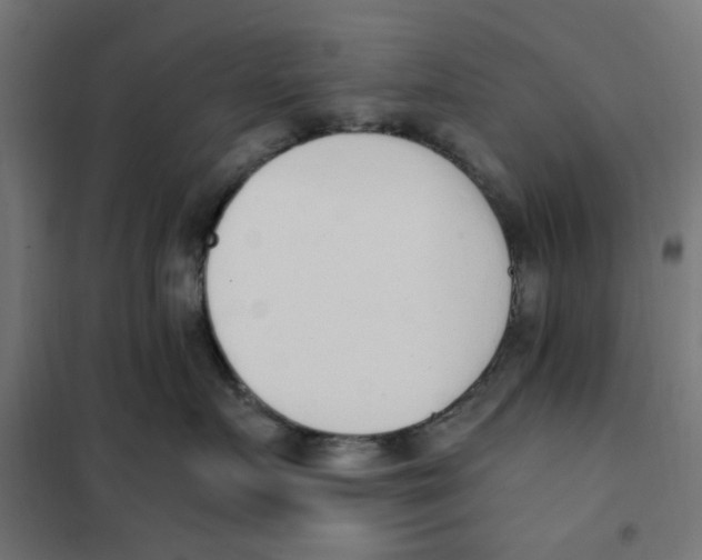 X0000101680719200808071109