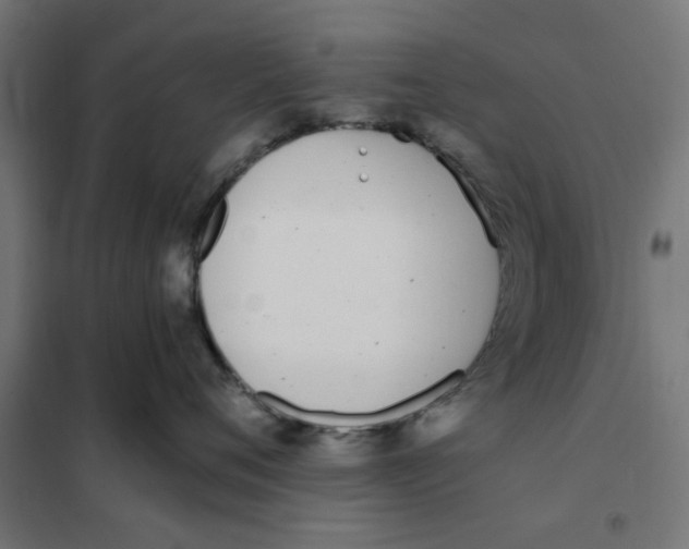 X0000101680720200808071109