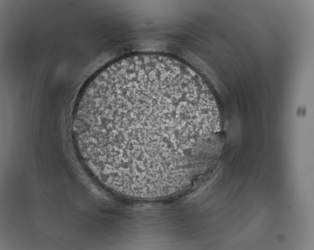 X0000101680721200808071108