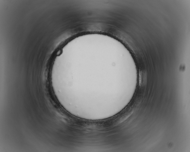 X0000101680723200808071108