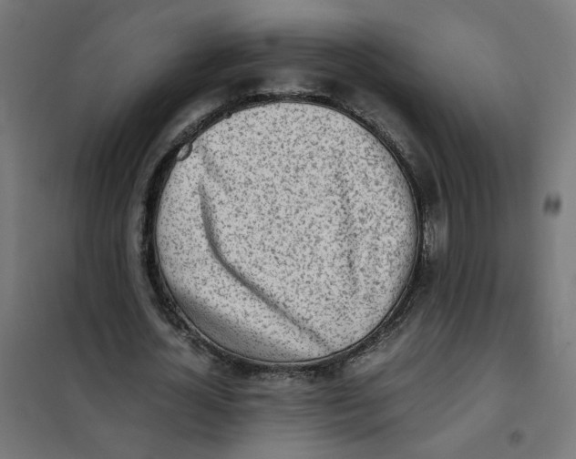X0000101680724200808071108