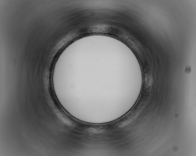 X0000101680725200808071108