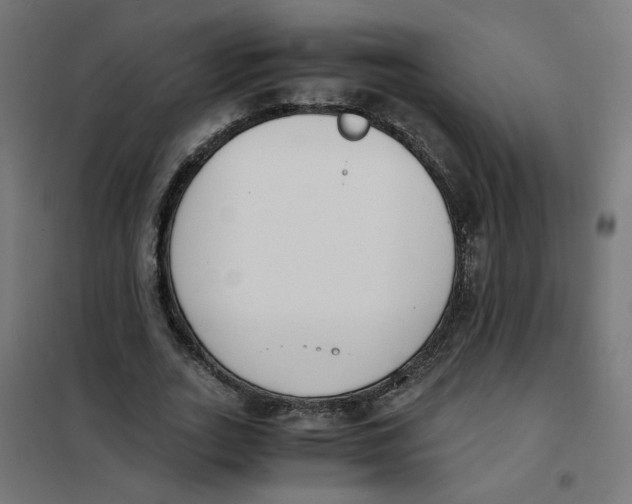 X0000101680727200808071108