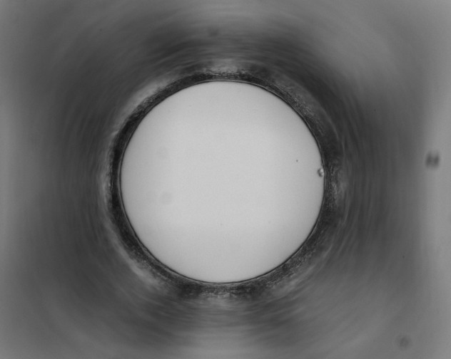 X0000101680728200808071108
