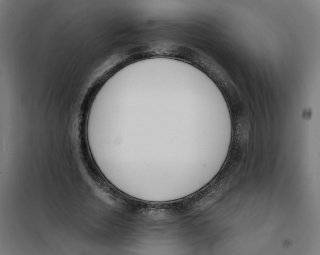X0000101680730200808071108