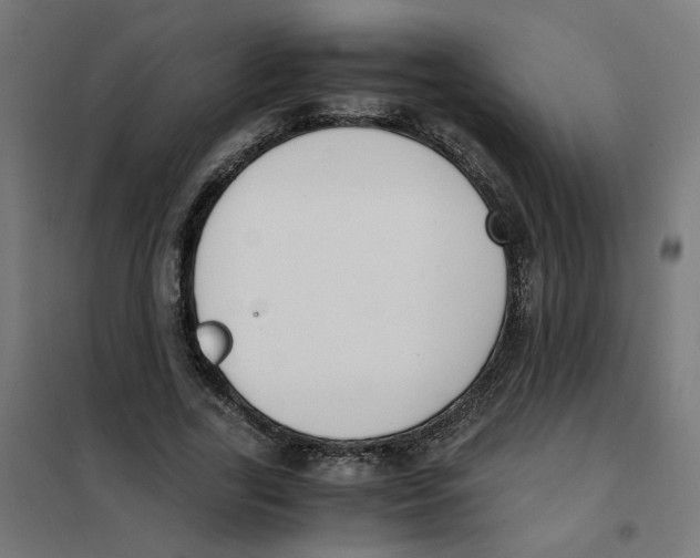 X0000101680731200808071108