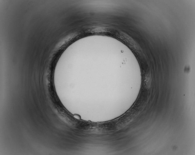 X0000101680732200808071108