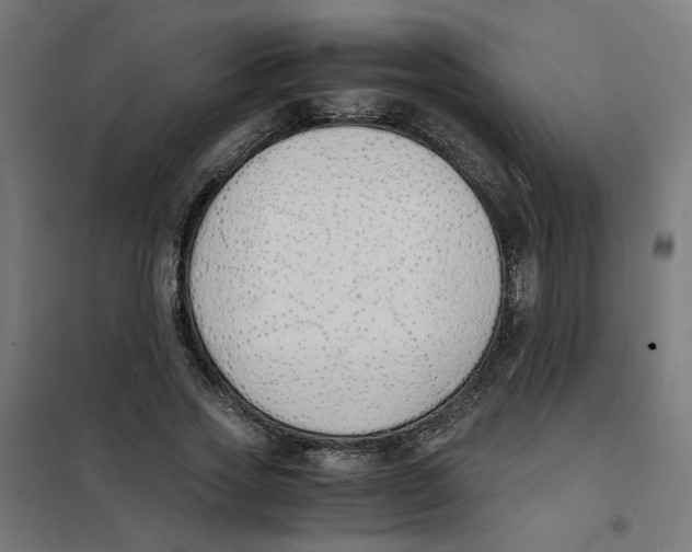 X0000101680733200808071108