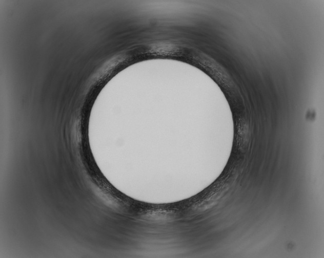 X0000101680734200808071108