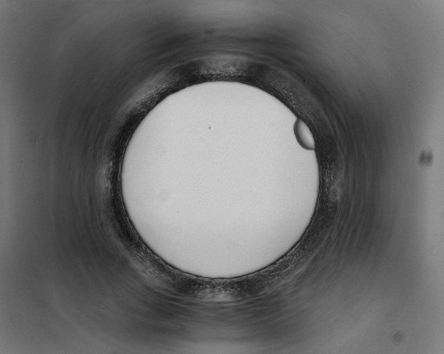 X0000101680735200808071108