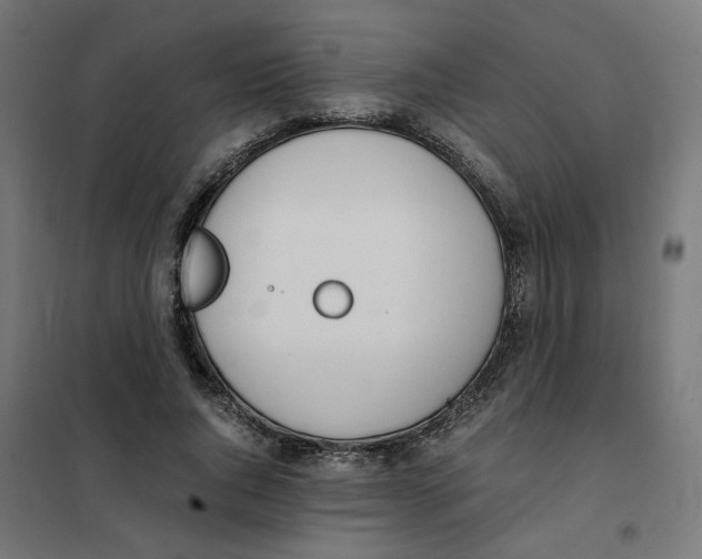 X0000101680736200808071108