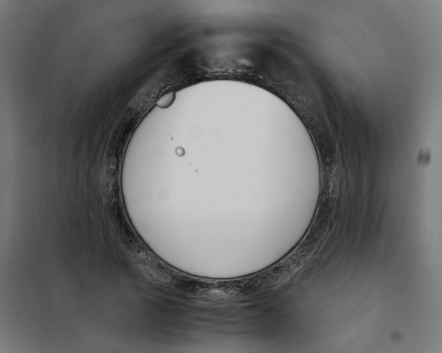 X0000101680737200808071108