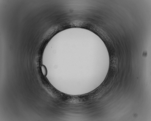X0000101680738200808071108