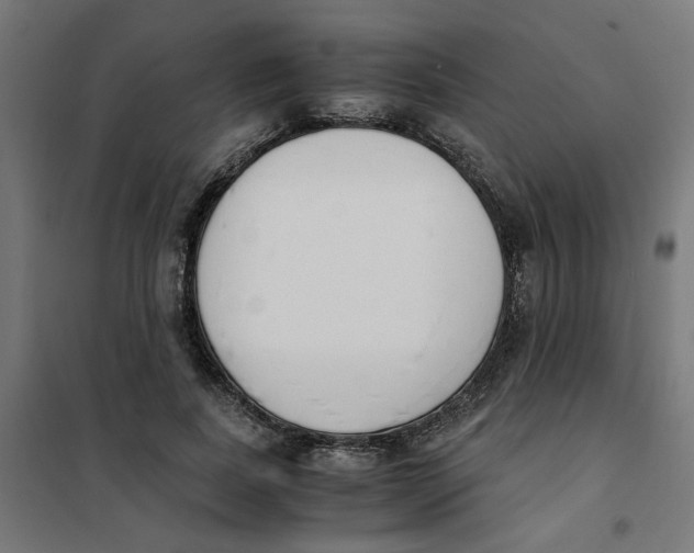 X0000101680739200808071108