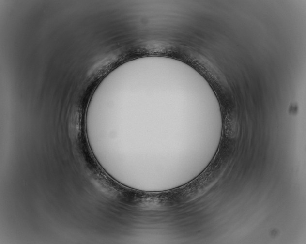 X0000101680740200808071108