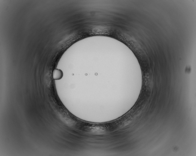 X0000101680741200808071108