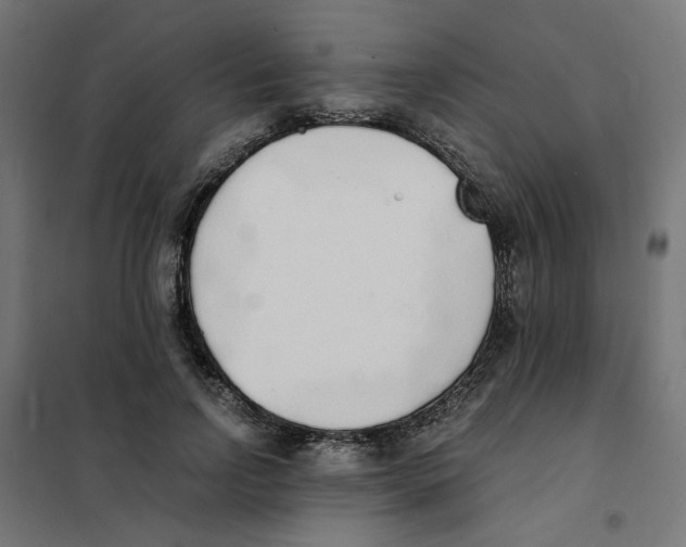 X0000101680742200808071108