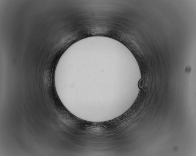 X0000101680743200808071108