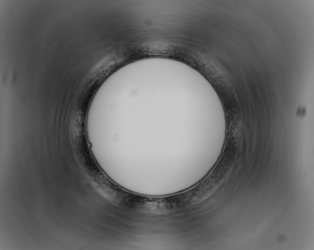 X0000101680744200808071108
