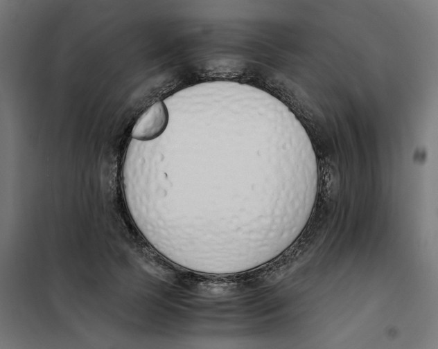 X0000101680745200808071108