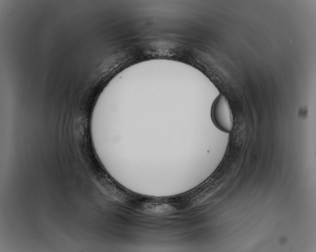 X0000101680747200808071108