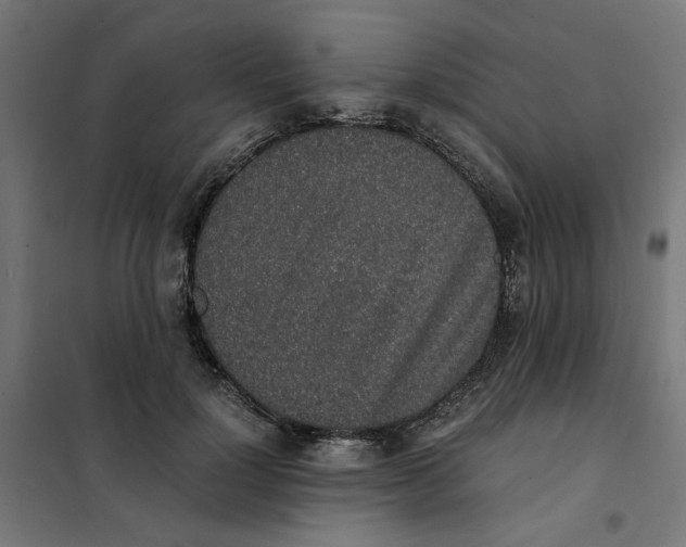 X0000101680748200808071109