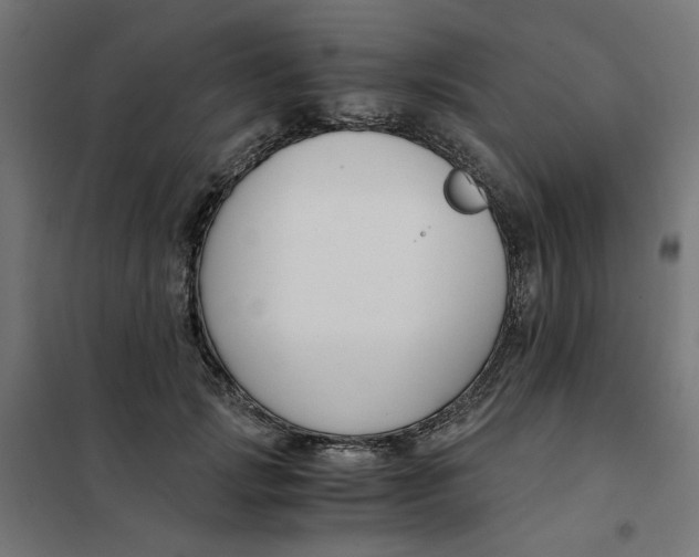 X0000101680749200808071109