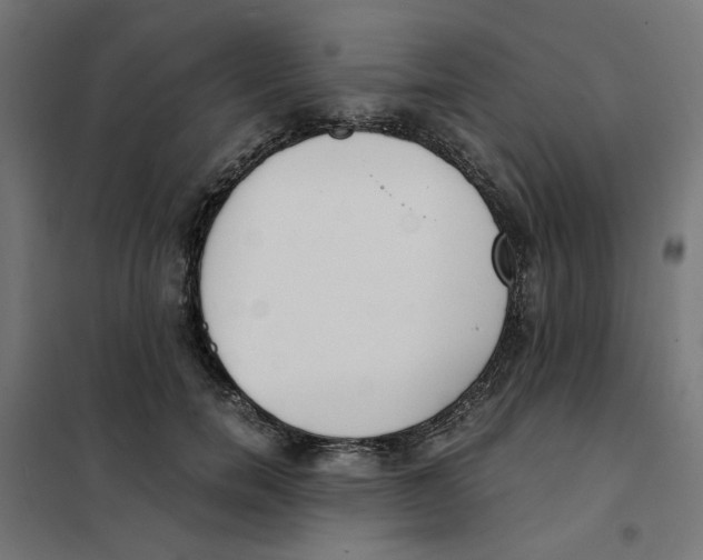 X0000101680750200808071109