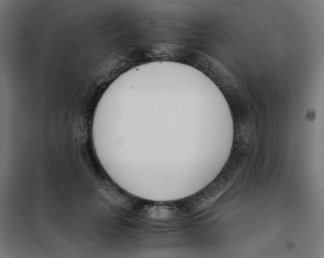 X0000101680751200808071109