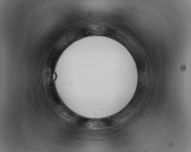 X0000101680752200808071109