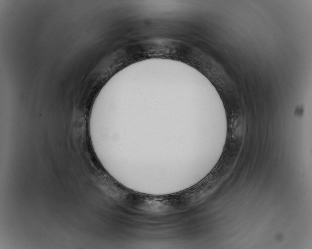 X0000101680753200808071109