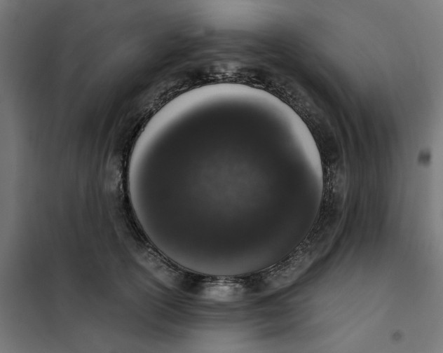 X0000101680754200808071109