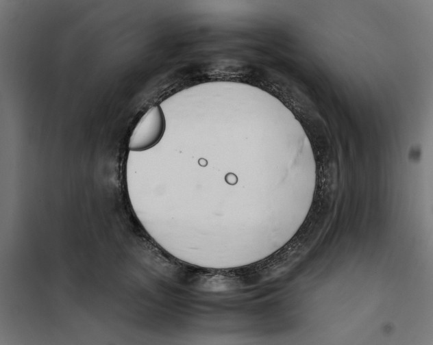 X0000101680755200808071109