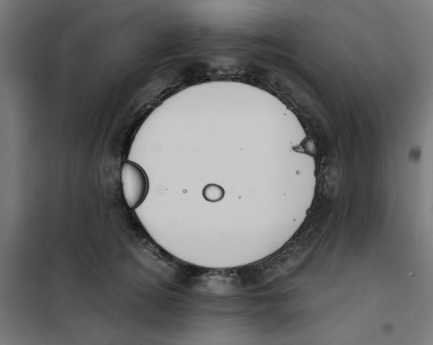 X0000101680756200808071109