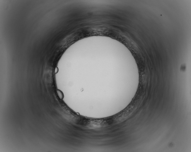 X0000101680757200808071109