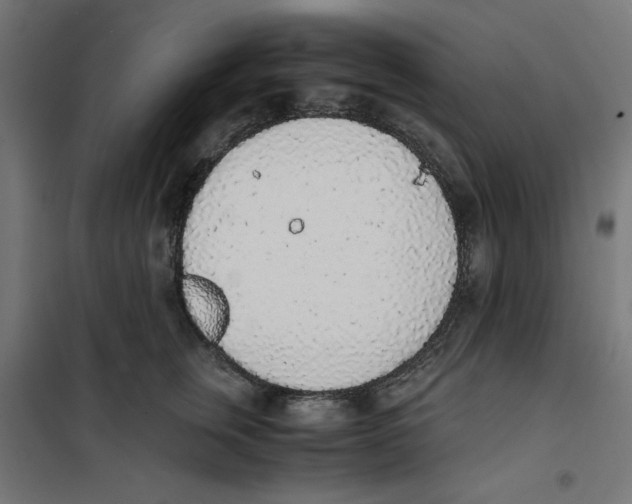 X0000101680759200808071109