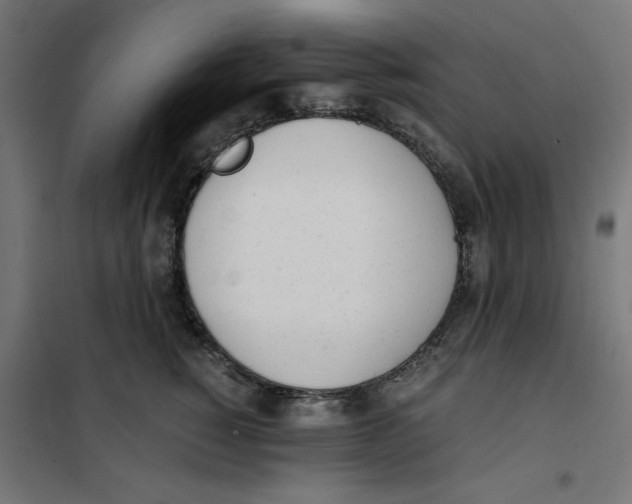 X0000101680760200808071109