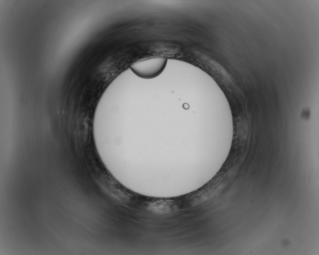 X0000101680761200808071109