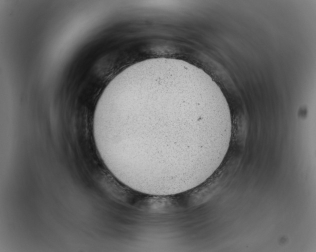 X0000101680762200808071109