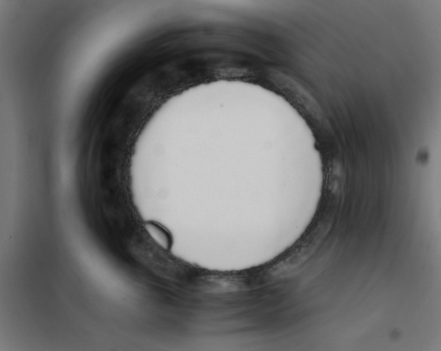 X0000101680763200808071109