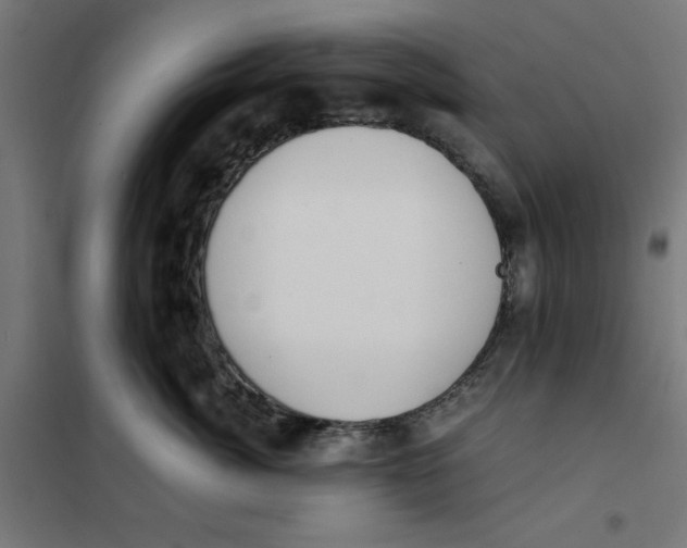 X0000101680764200808071109