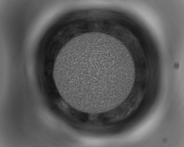 X0000101680766200808071109