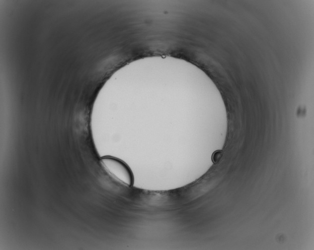 X0000101680768200808071109