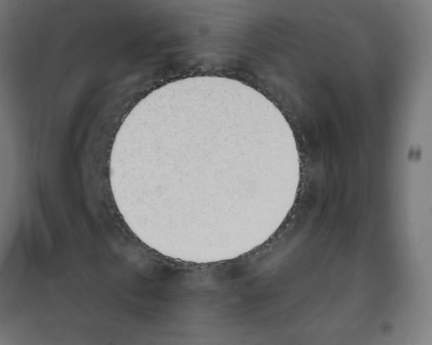 X0000101680769200808071108