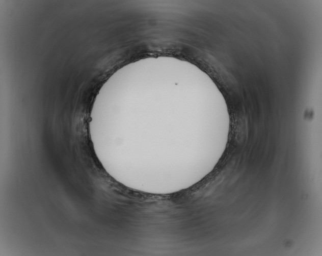 X0000101680770200808071108