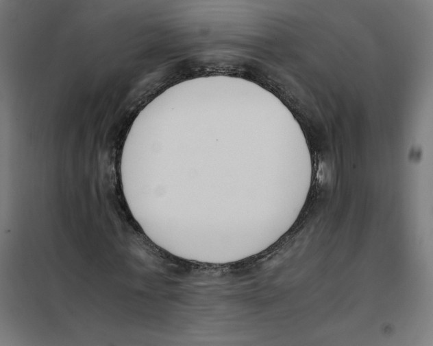 X0000101680771200808071108
