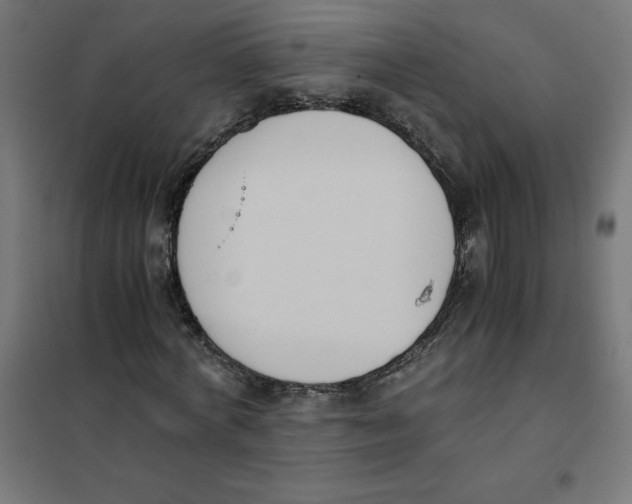 X0000101680772200808071108