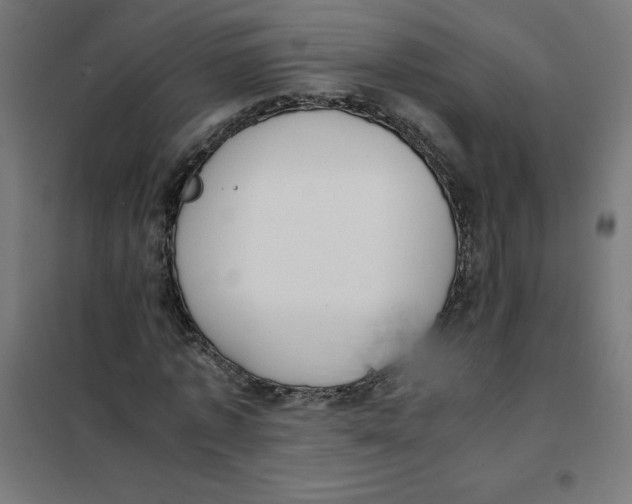 X0000101680773200808071108