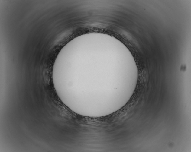 X0000101680774200808071108