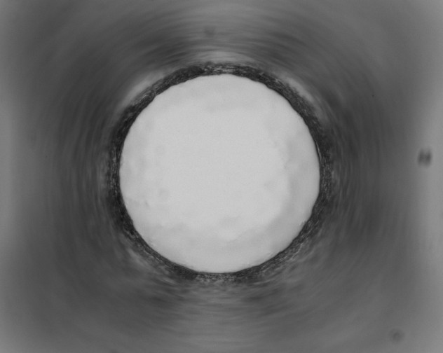 X0000101680775200808071108